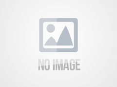 Estabelecer a nutrição humana e a saúde, melhorando a qualidade de vida humana